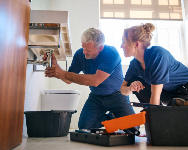 Best Clogged Drain Plumber  in Baxter, MN